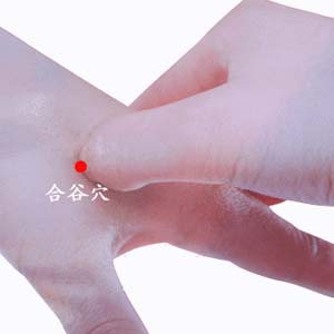 头痛艾灸穴位图5