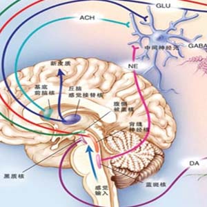 神经衰弱卡通图片8