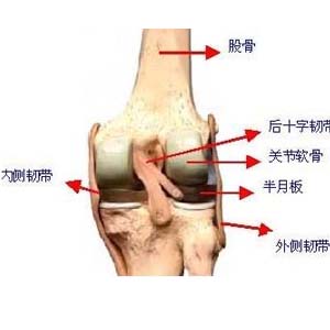 滑膜炎图片7